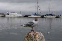 Turismo en Marken